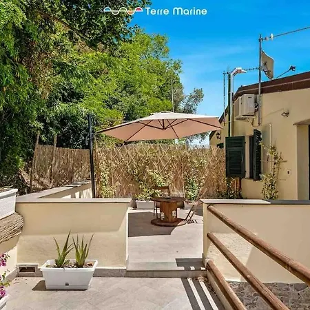 Reborn House, Terremarine